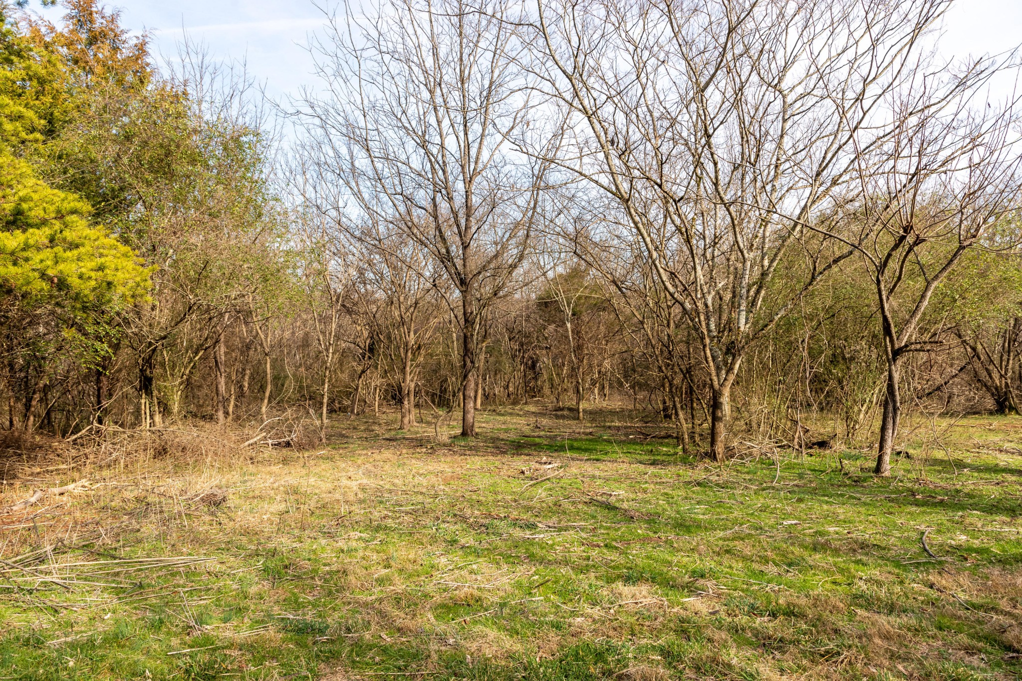 0 Rest Camp Road Lenoir City, TN 37772 - Photo 5 of 12 Gallery Image 5