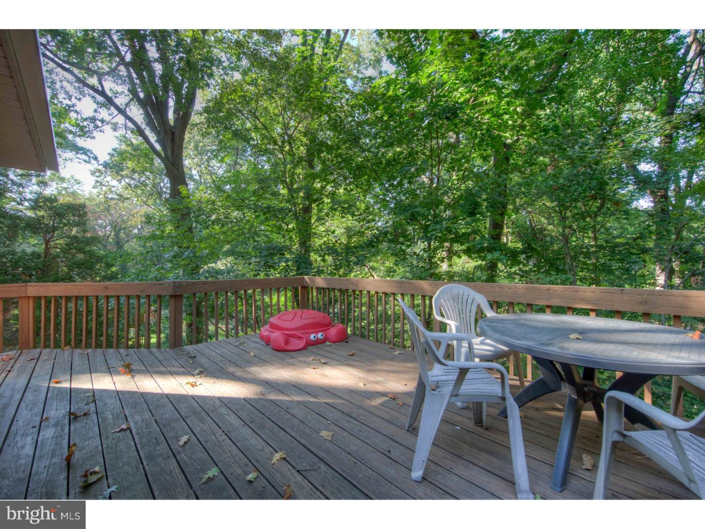671 Forest Road Wayne, PA 19087 - Photo 23 of 24 Deck