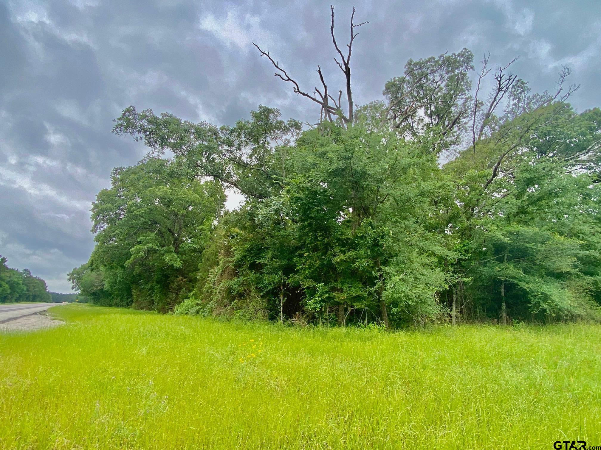 0 South State Highway Elkhart, TX 75839 - Photo 2 of 7 a view of a garden