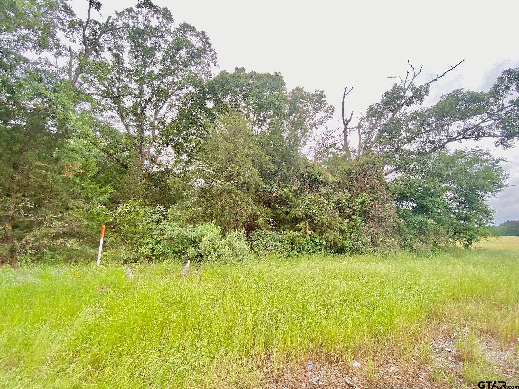 0 South State Highway Elkhart, TX 75839 - Photo 4 of 7 a view of yard with green space