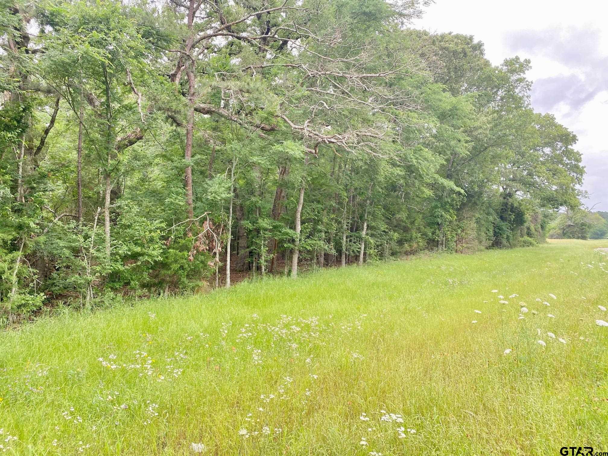 0 South State Highway Elkhart, TX 75839 - Photo 7 of 7 a view of outdoor space and yard