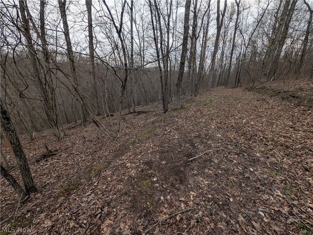 39000 Lees Run Road Cadiz, OH 43907 - Photo 34 of 49