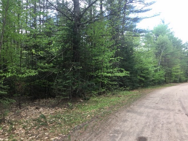 15 Webster Road Conway, NH 03813 - Photo 3 of 3