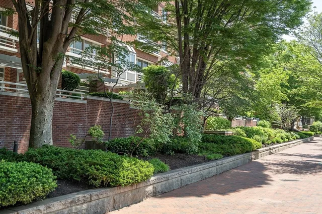 a view of a patio with table and chairs potted plants and large tree