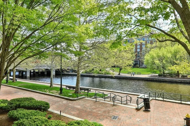 a view of a swimming pool with a garden