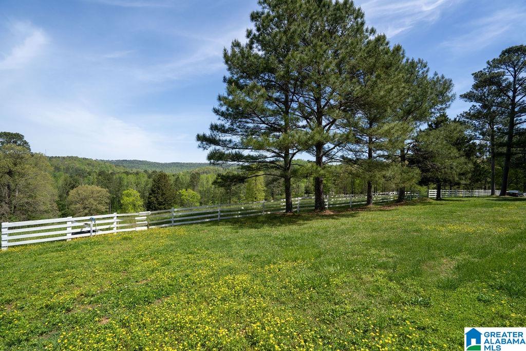 102 Burgess Drive Springville, AL 35146 - Photo 32 of 46