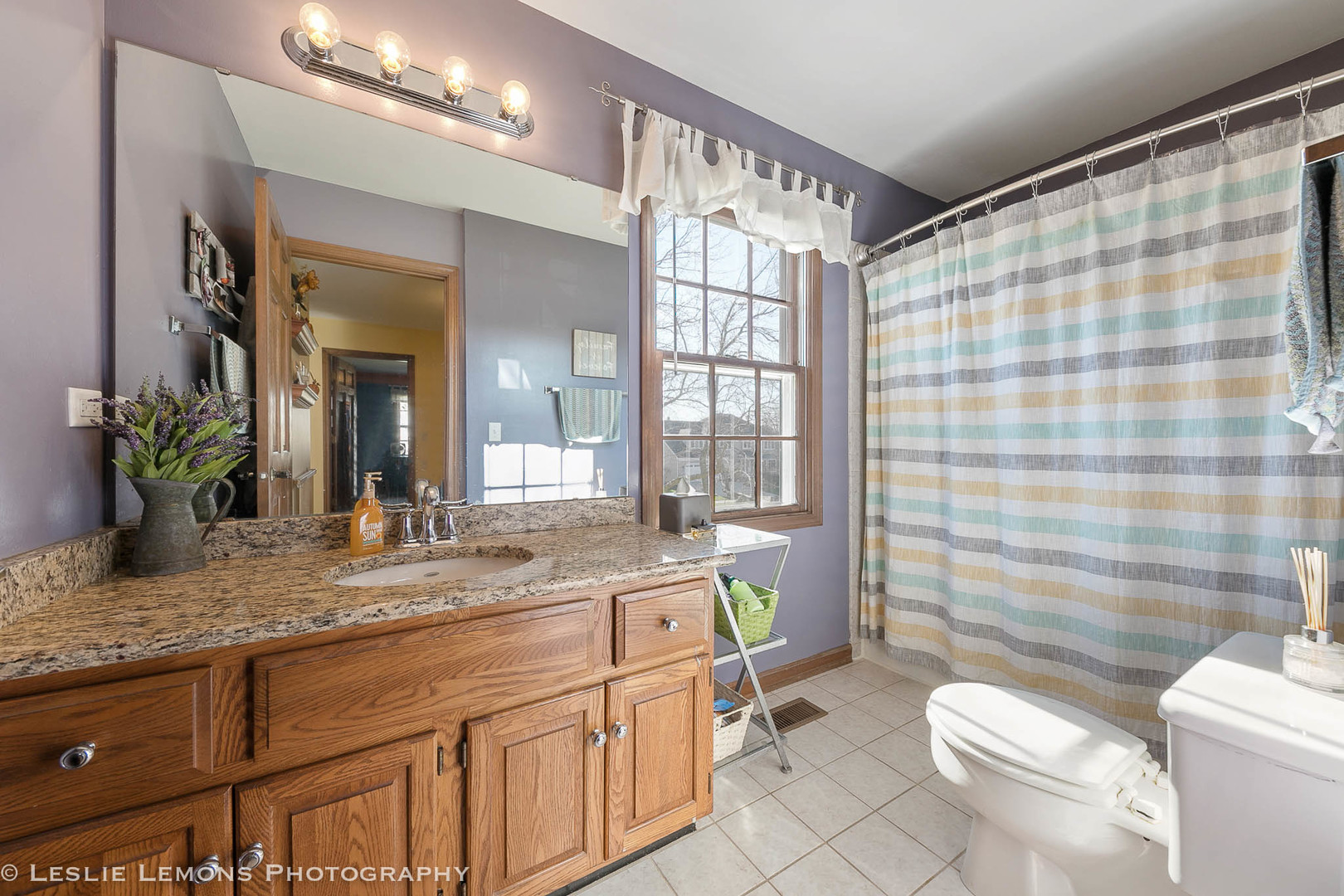 217 West Bailey Road Naperville, IL 60565 - Photo 16 of 24 a bathroom with a granite countertop sink a toilet a mirror and shower curtain