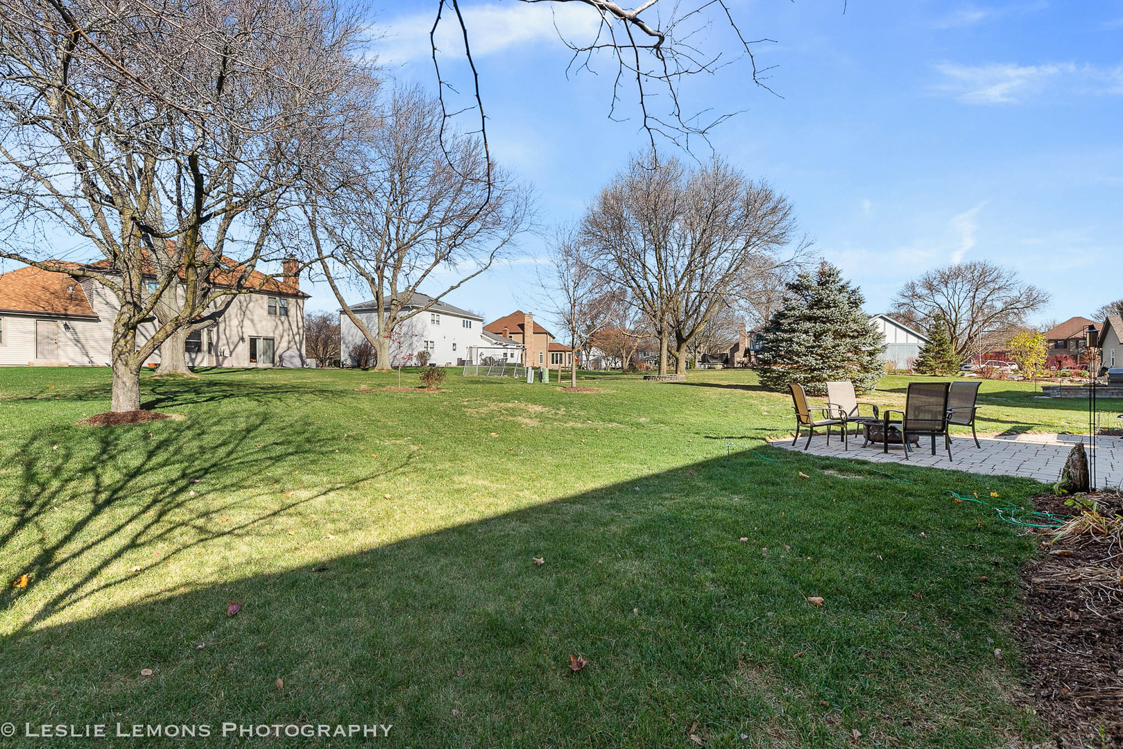 217 West Bailey Road Naperville, IL 60565 - Photo 21 of 24 a view of a park with large trees