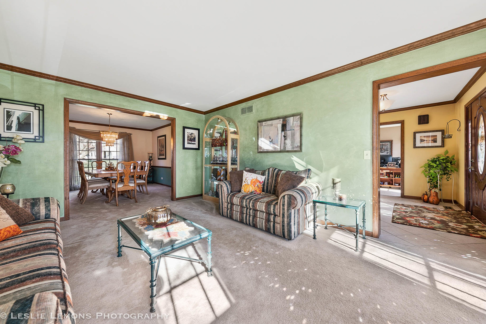 217 West Bailey Road Naperville, IL 60565 - Photo 8 of 24 a living room with furniture and a window