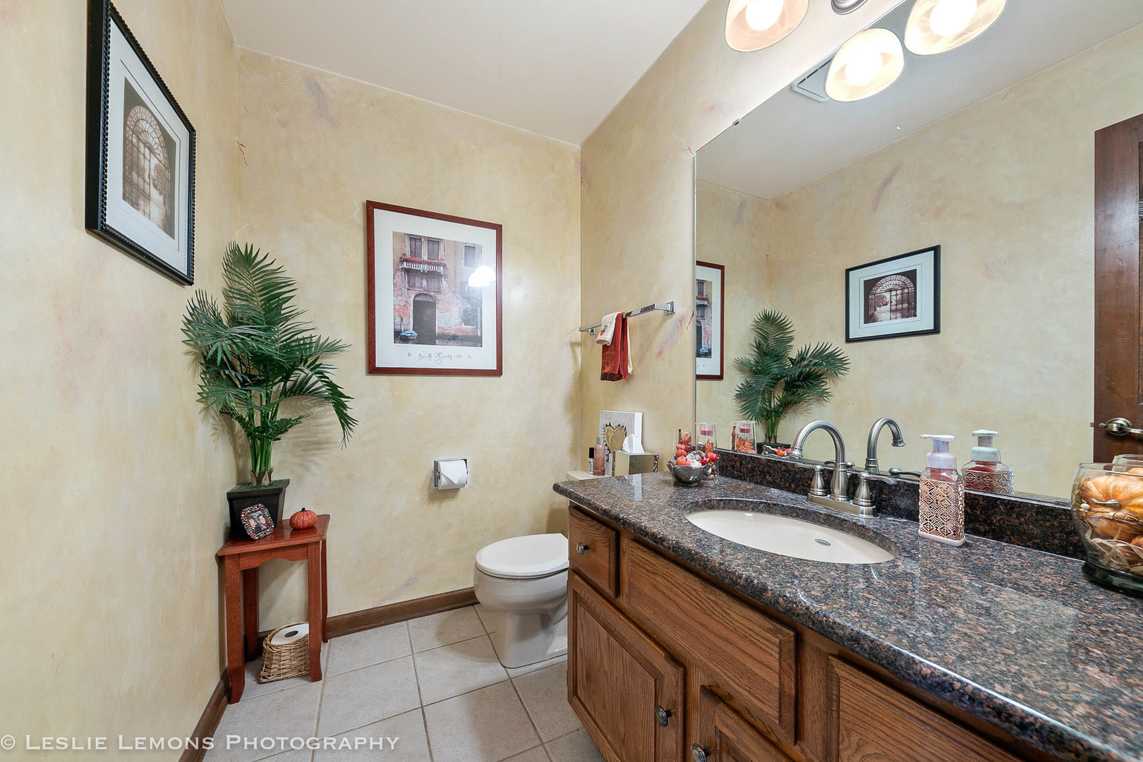 217 West Bailey Road Naperville, IL 60565 - Photo 10 of 24 a bathroom with a granite countertop sink a toilet and a large mirror