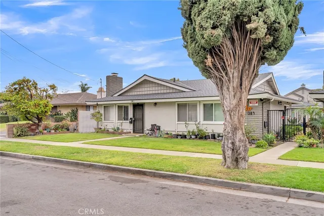 a view of a trees with a big yard
