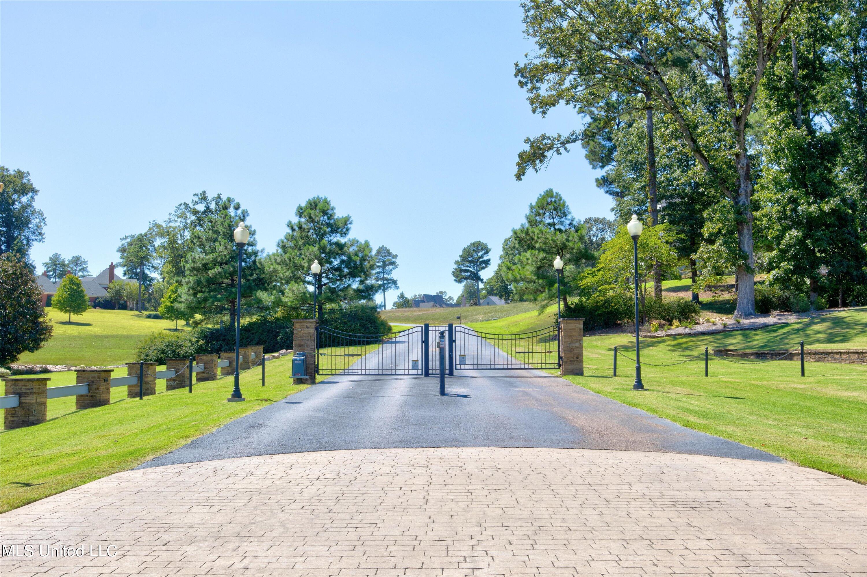 7 Plank Road Hernando, MS 38632 - Photo 6 of 12 Gated Entry