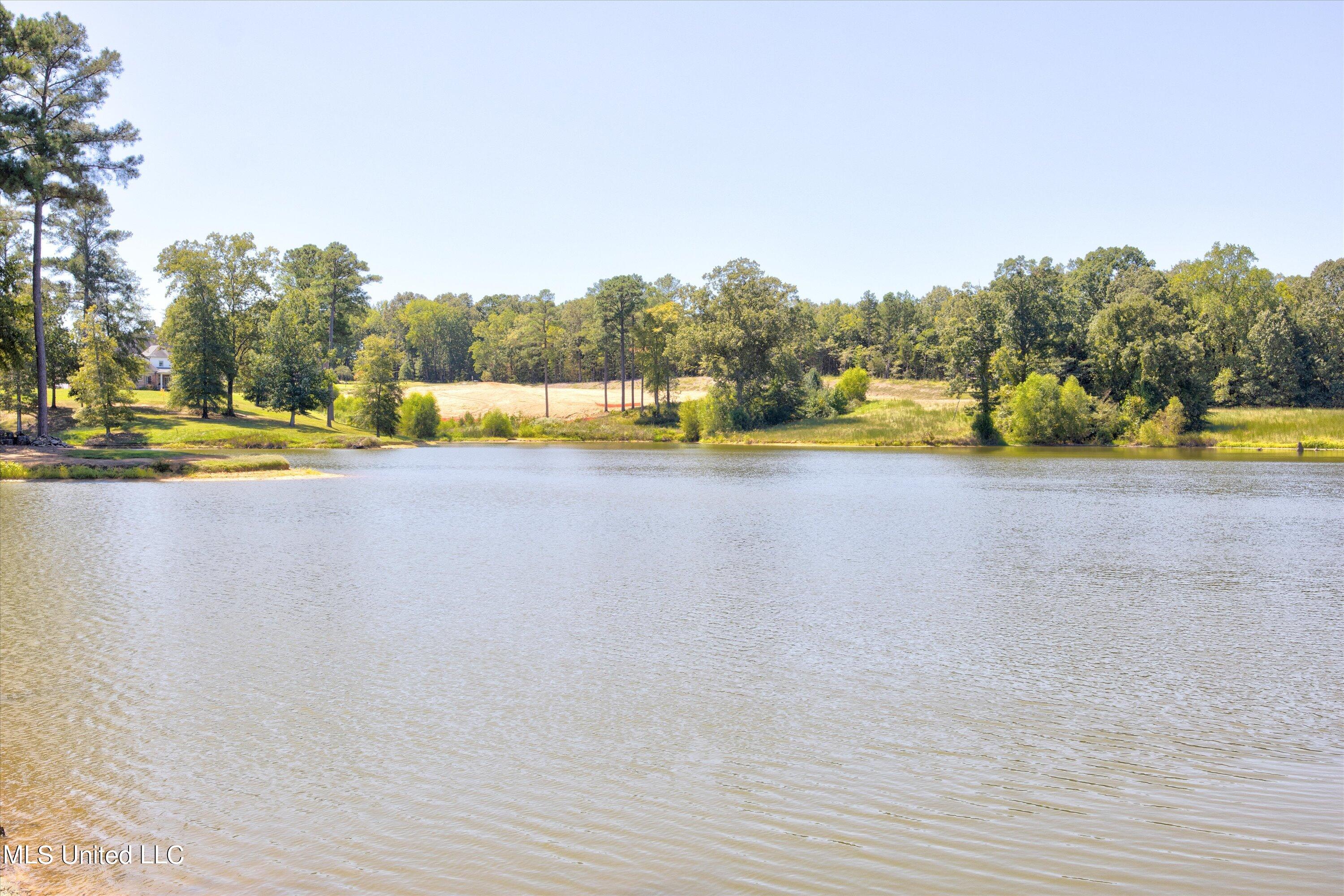 7 Plank Road Hernando, MS 38632 - Photo 9 of 12 Main Community Lake 2