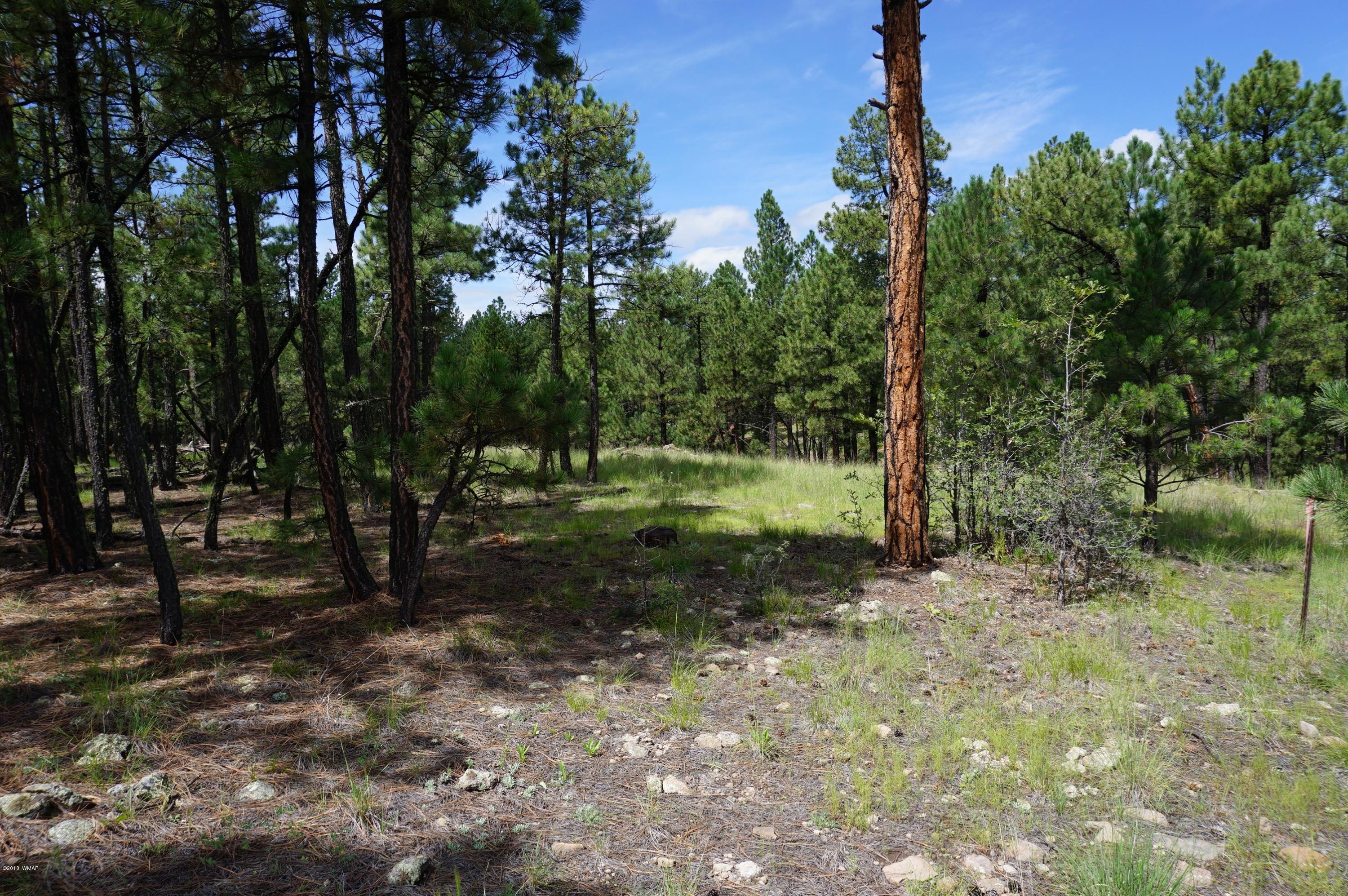 1 X P/o Co Road Alpine, AZ 85920 - Photo 12 of 35