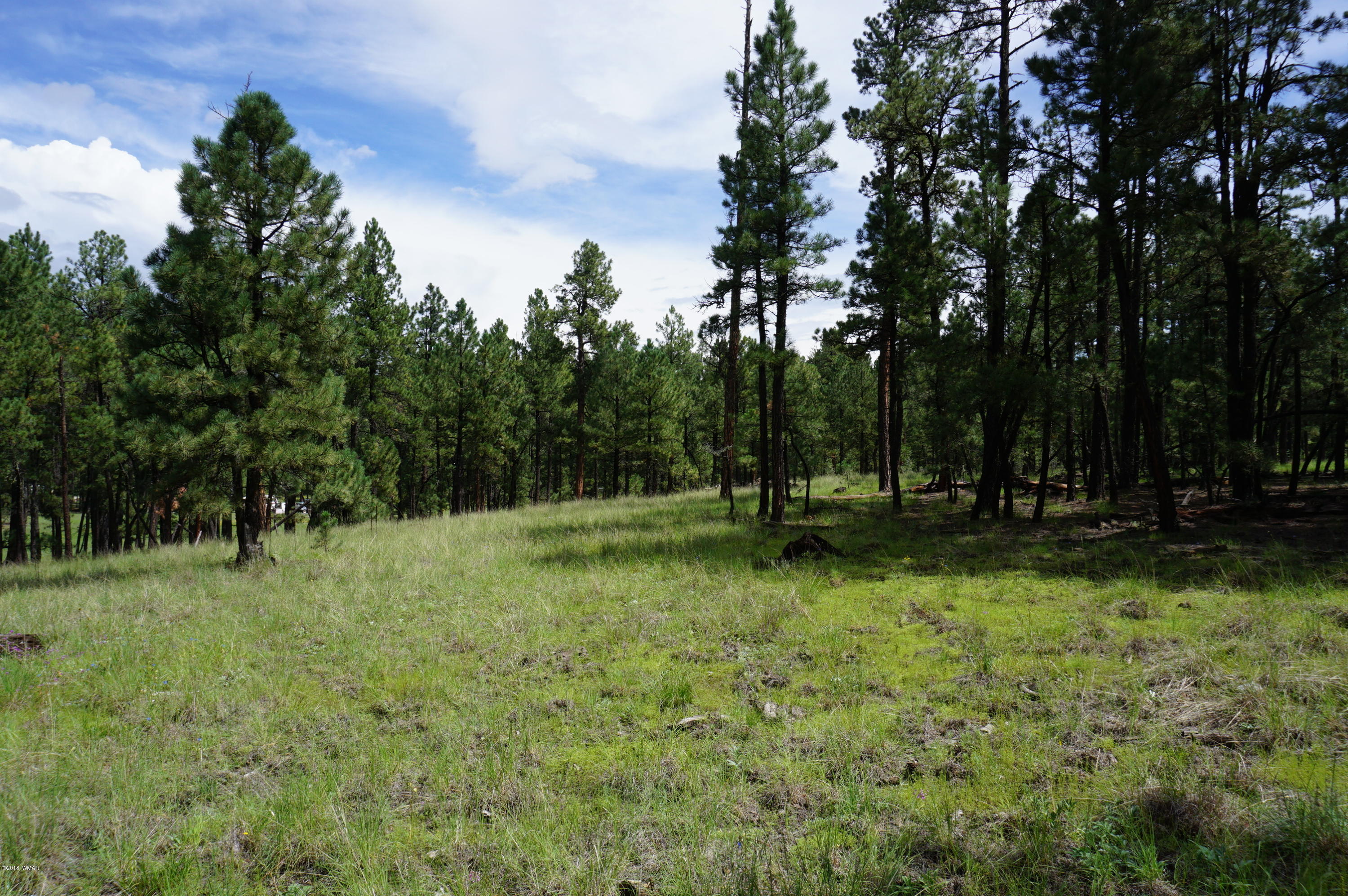 1 X P/o Co Road Alpine, AZ 85920 - Photo 15 of 35