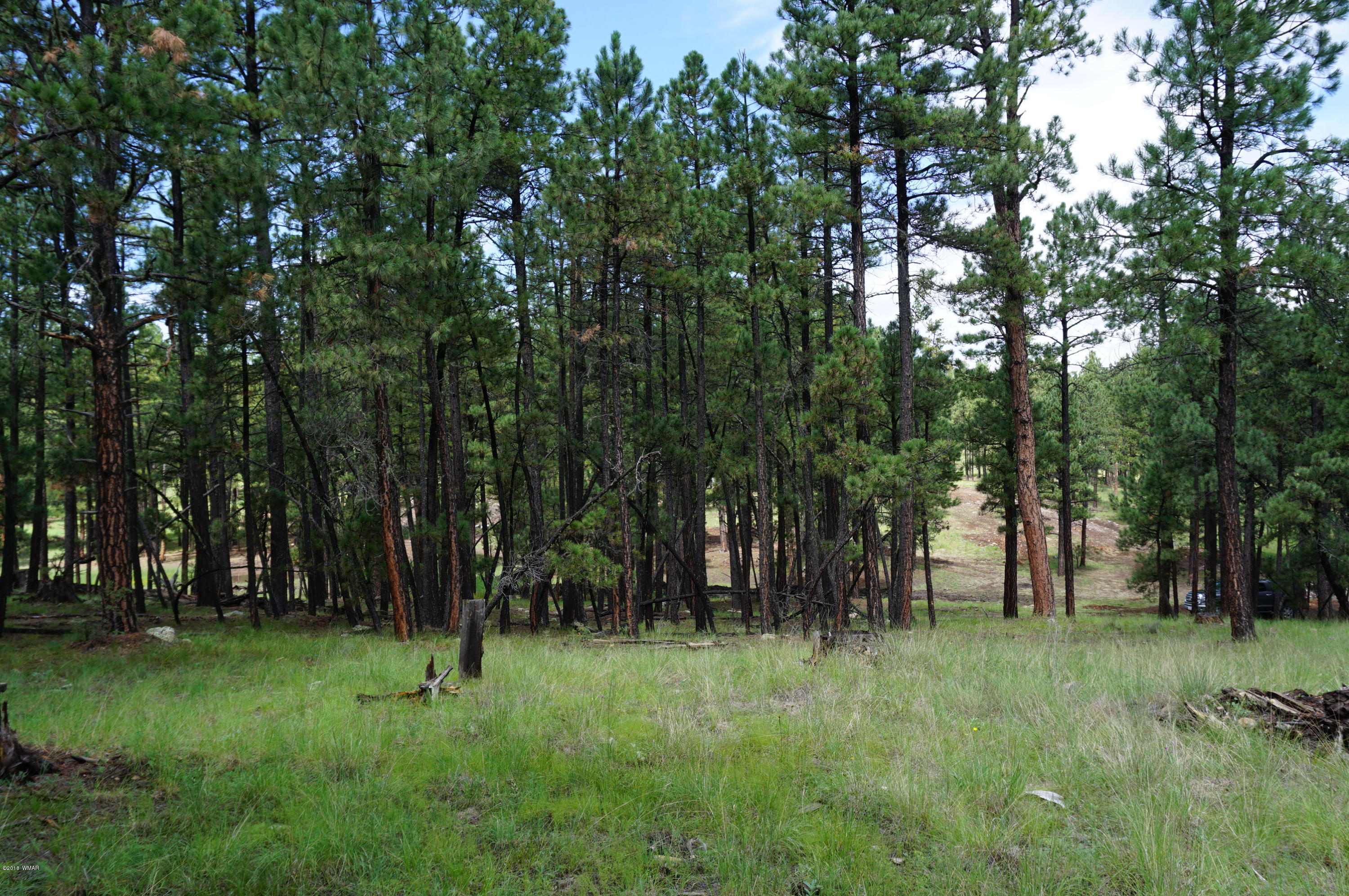 1 X P/o Co Road Alpine, AZ 85920 - Photo 16 of 35