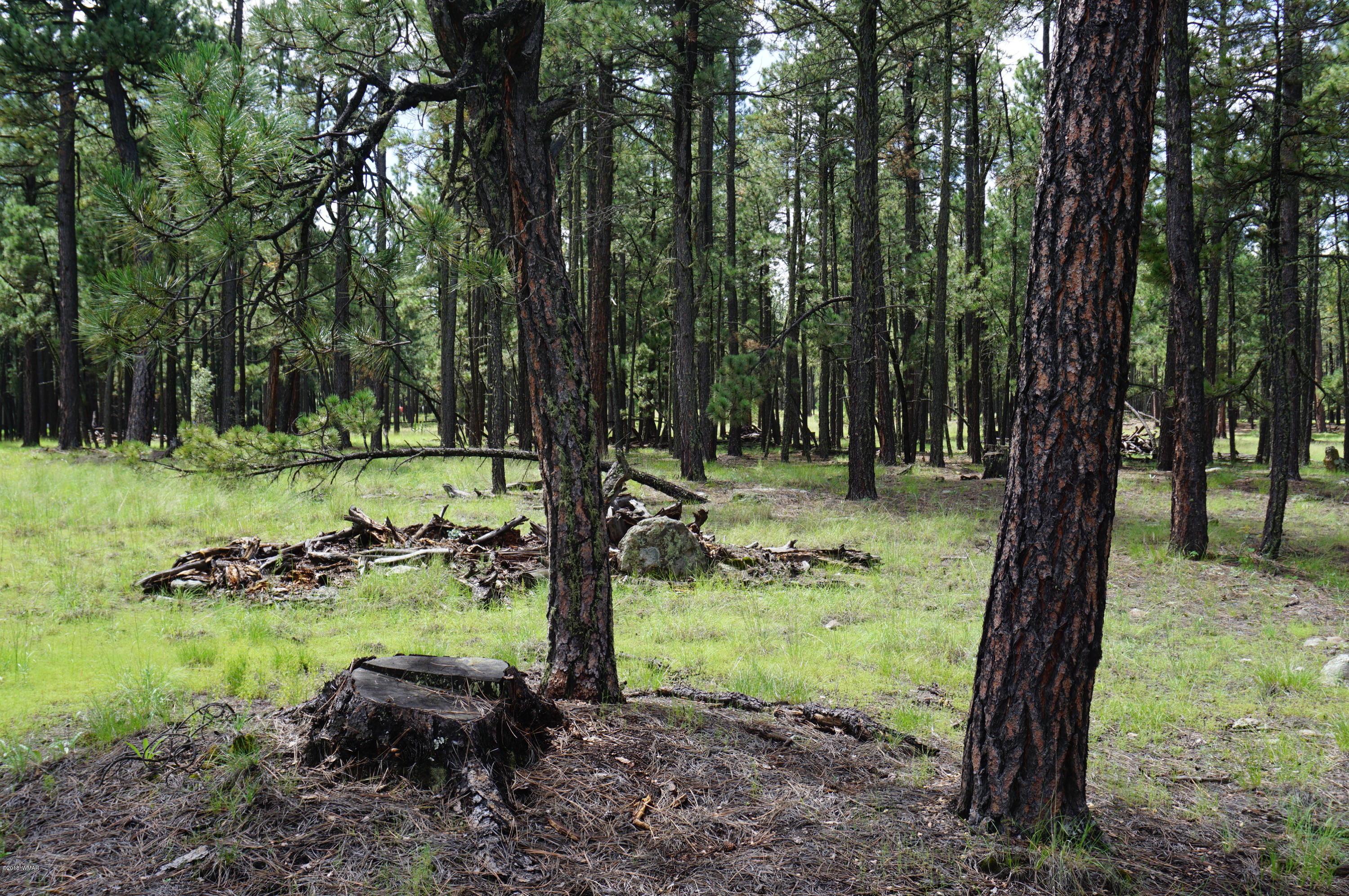 1 X P/o Co Road Alpine, AZ 85920 - Photo 24 of 35