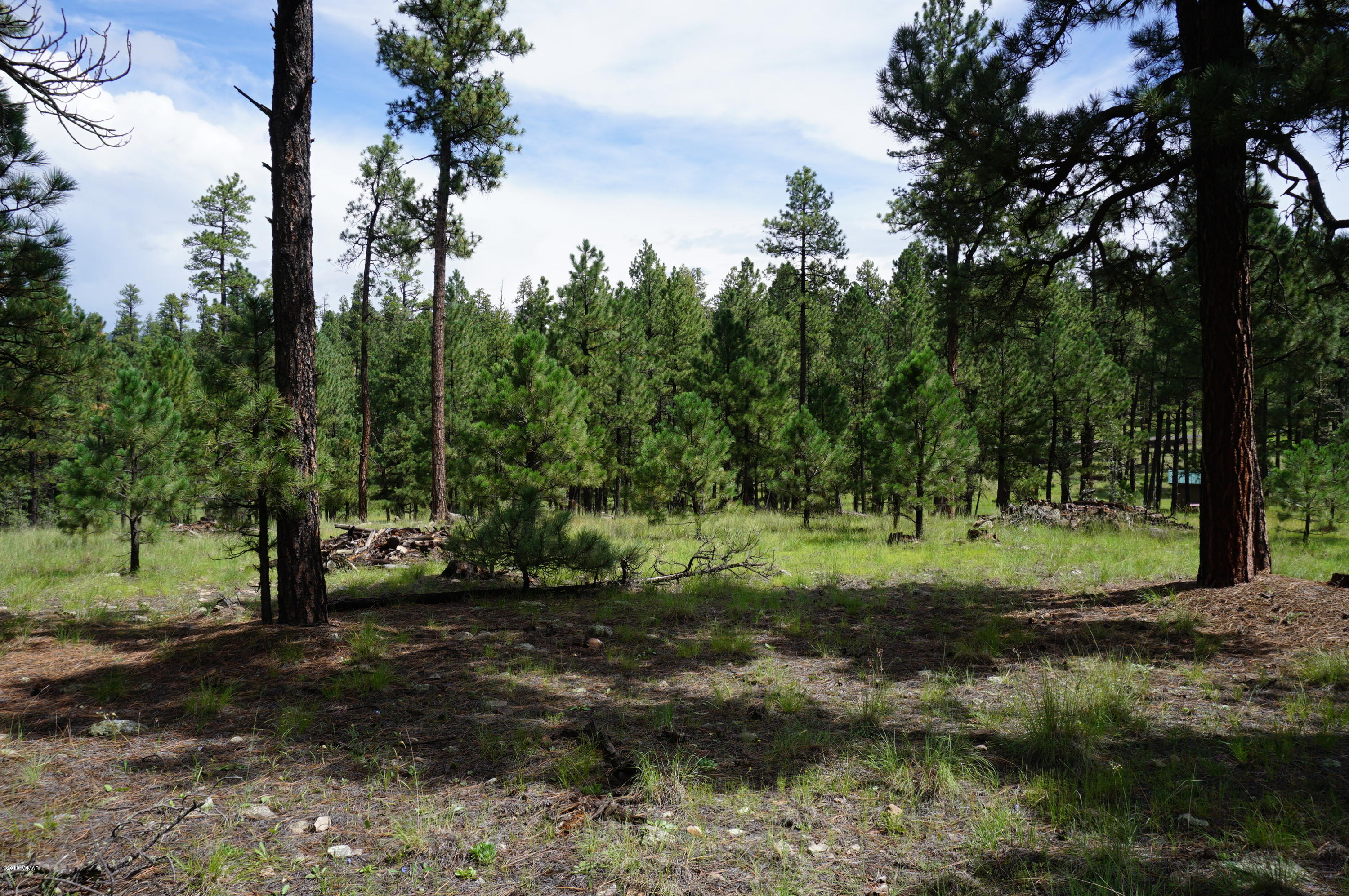 1 X P/o Co Road Alpine, AZ 85920 - Photo 25 of 35