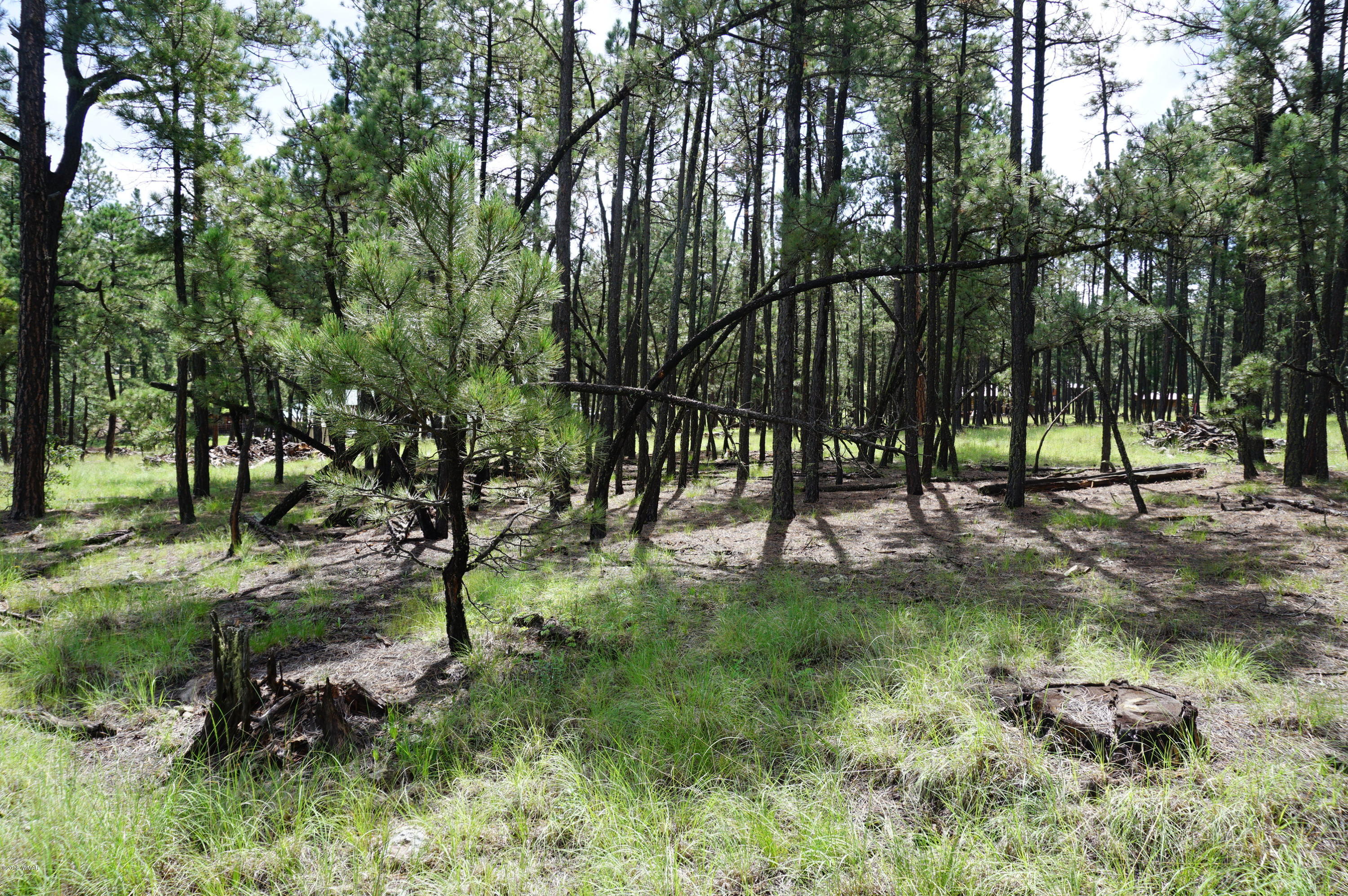 1 X P/o Co Road Alpine, AZ 85920 - Photo 26 of 35