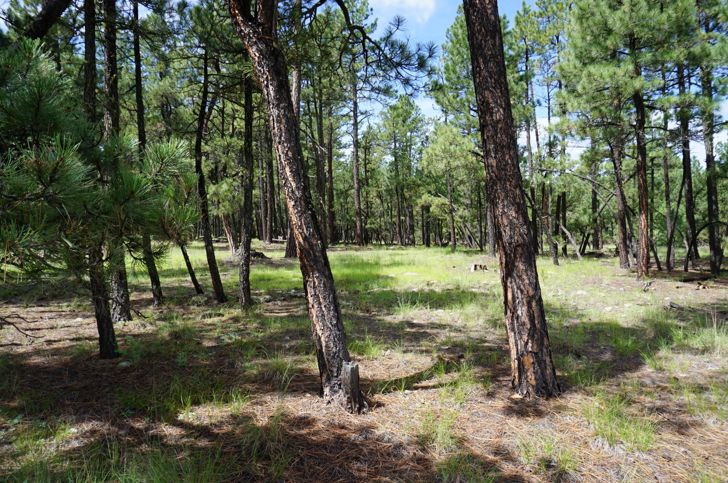 1 X P/o Co Road Alpine, AZ 85920 - Photo 27 of 35