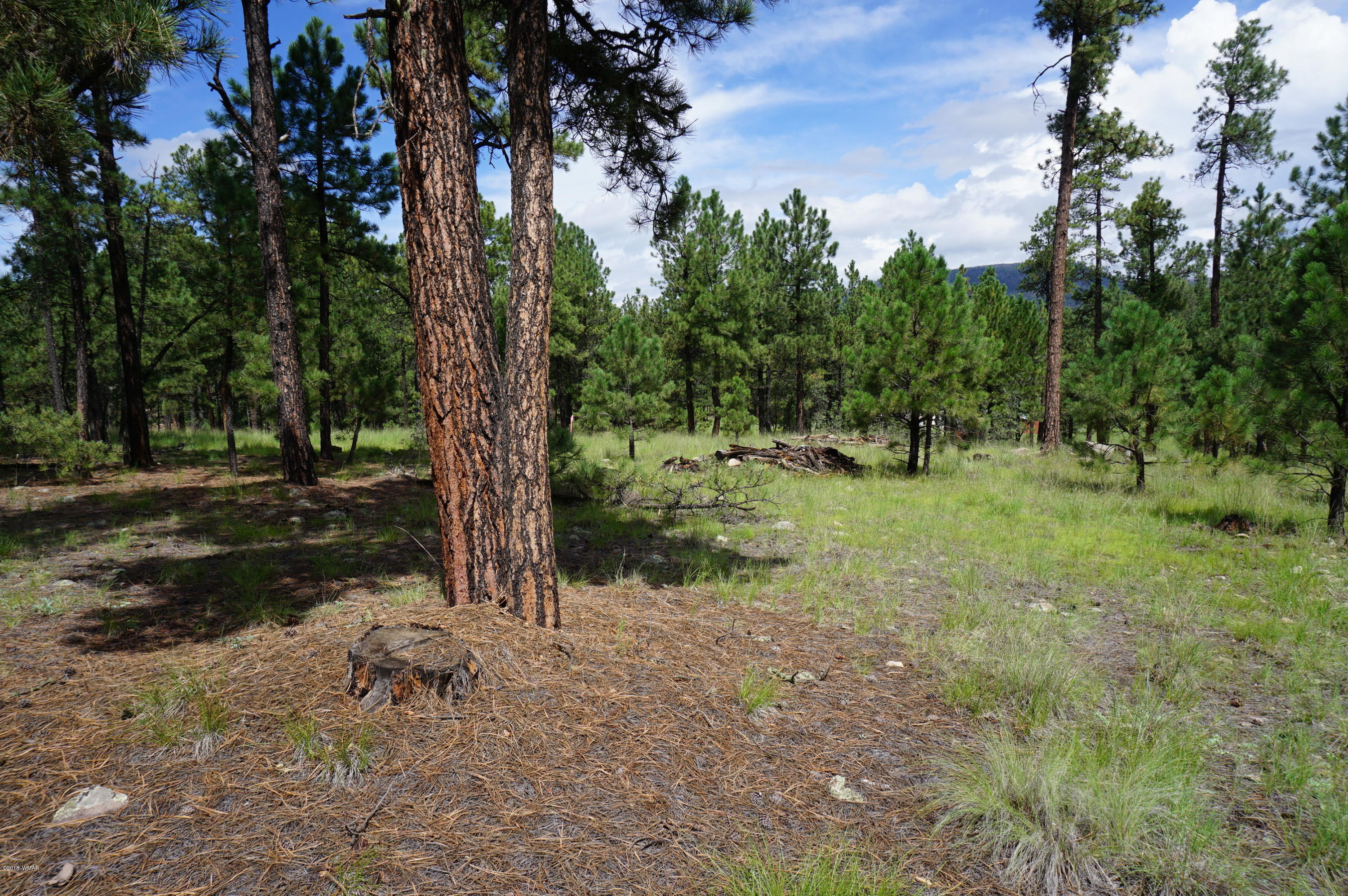 1 X P/o Co Road Alpine, AZ 85920 - Photo 28 of 35