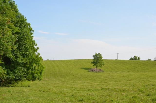 3887 High Bridge Road Lancaster, KY 40444 - Photo 63 of 97 Photo 63
