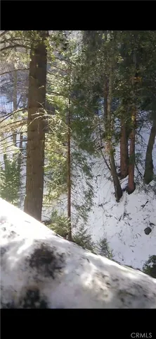 a view of a yard with wooden fence