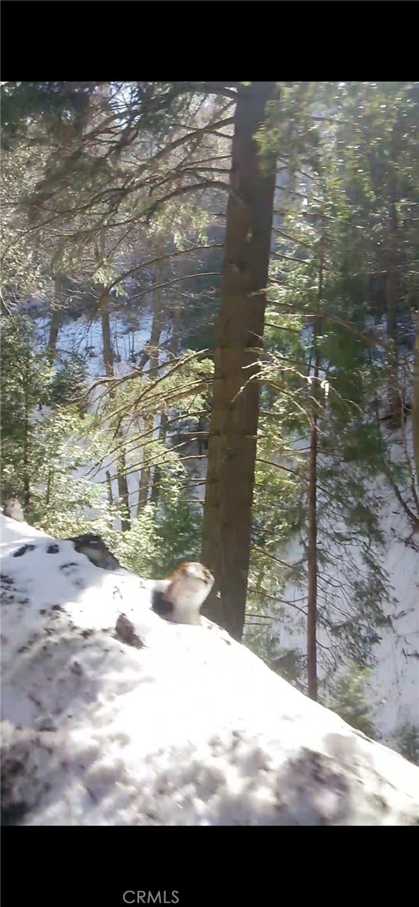 0 Saxon Crestline, CA 92325 - Photo 15 of 29 a view of lake