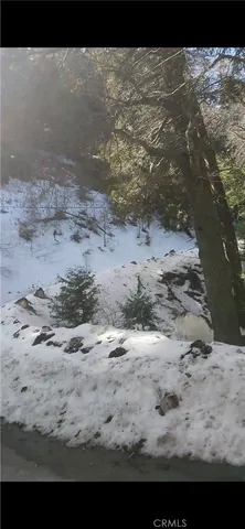 a view of a dry yard with wooden floor