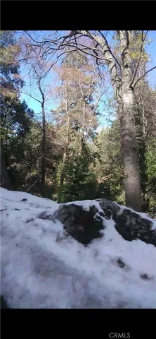a black and white bed in a backyard