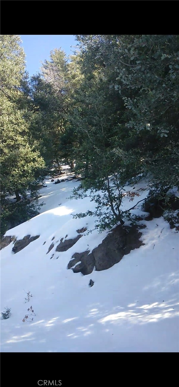 0 Saxon Crestline, CA 92325 - Photo 24 of 29 a view of a dry yard with wooden fence