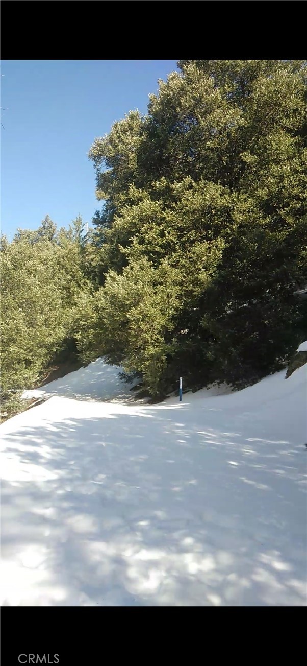 0 Saxon Crestline, CA 92325 - Photo 4 of 29 a view of a yard