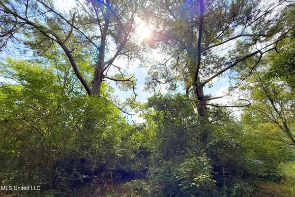 $199,000 | 8405 Wire Road, Vancleave, MS 39565