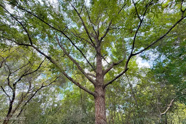 $199,000 | 8405 Wire Road, Vancleave, MS 39565