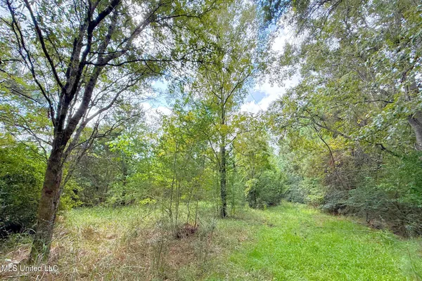 $199,000 | 8405 Wire Road, Vancleave, MS 39565