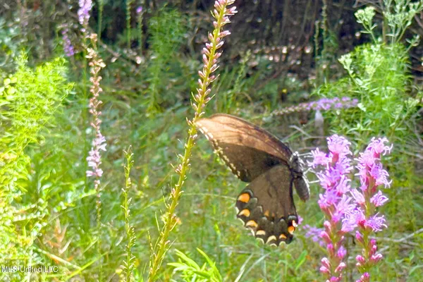 $199,000 | 8405 Wire Road, Vancleave, MS 39565