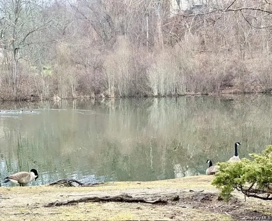 a view of a lake view