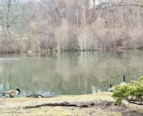 a view of a lake view