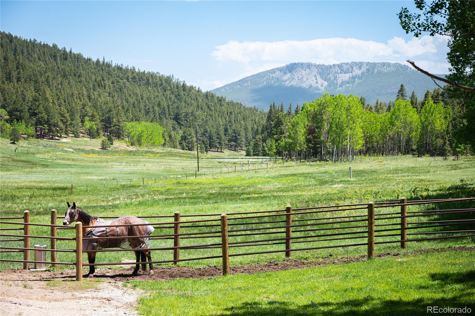 11652 Camp Eden Road Golden, CO 80403 - Photo 34 of 49 Gallery Image 34