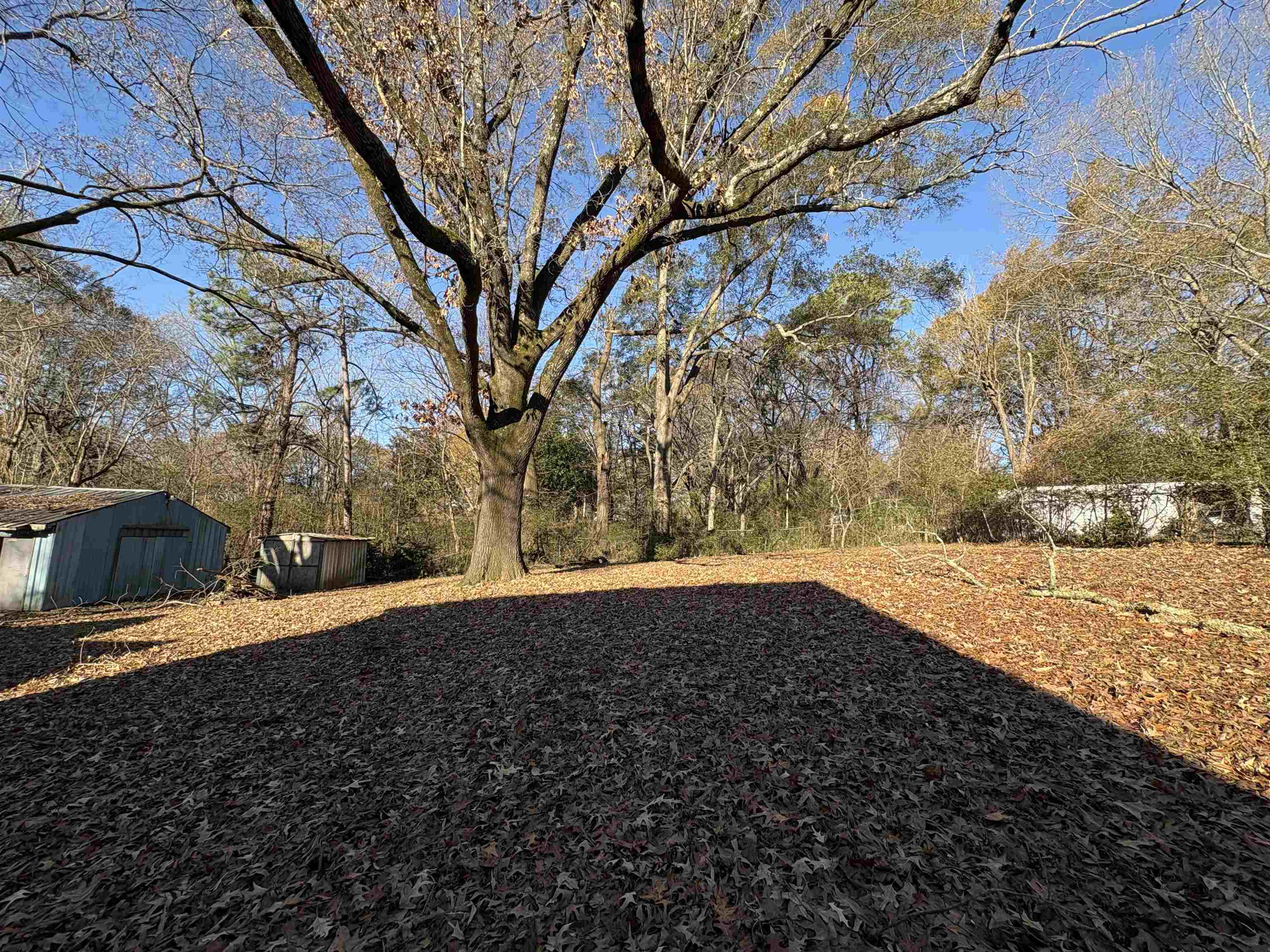 5091 Clinton Road Memphis, TN 38109 - Photo 10 of 34 a view of outdoor space with deck and tree