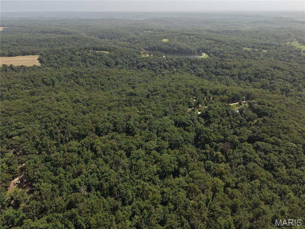 0 Gibson Road Lonedell, MO 63060 - Photo 22 of 28
