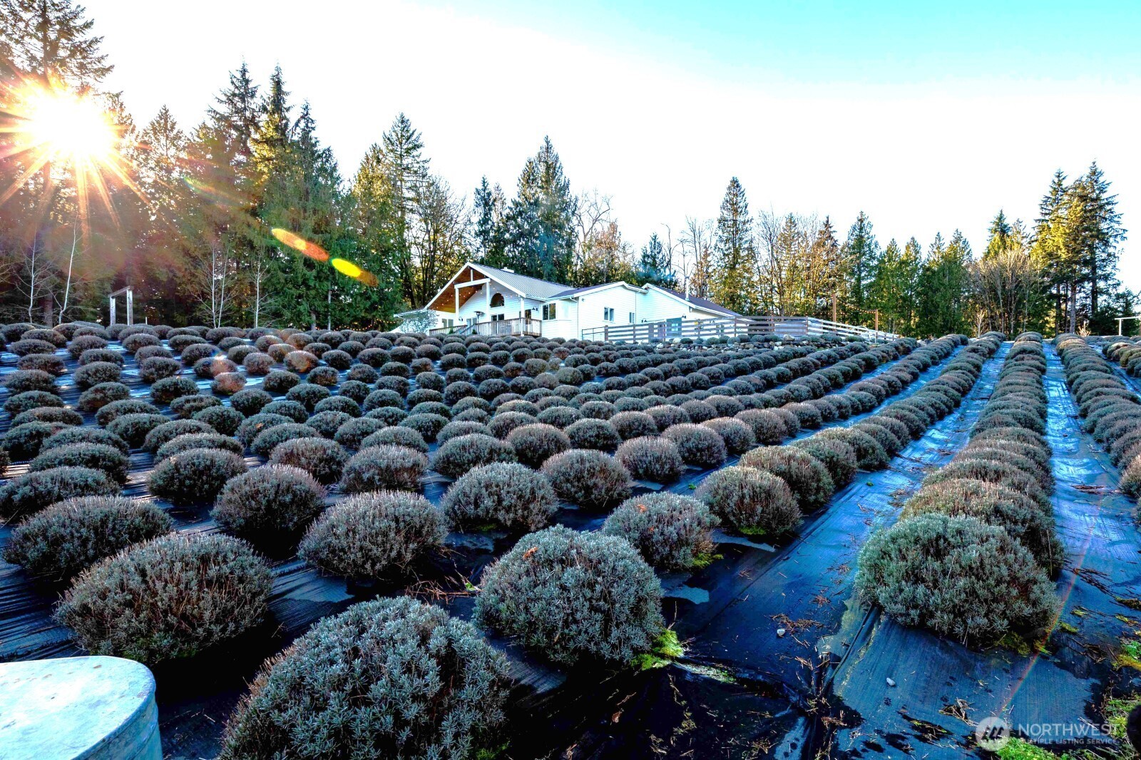 20129 Tveit Road Arlington, WA 98223 - Photo 28 of 31 a view of a street with some trees