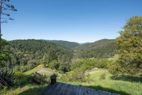 a view of a lot of trees and bushes