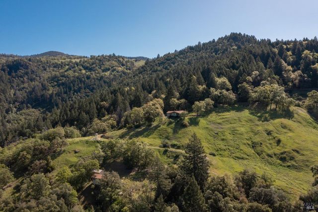 a view of a bunch of trees and mountains