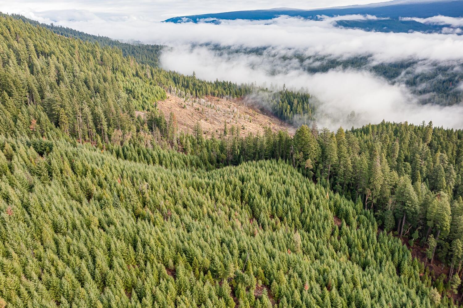 River Road Trail, OR 97541 - Photo 8 of 20 DJI_0934HDR27