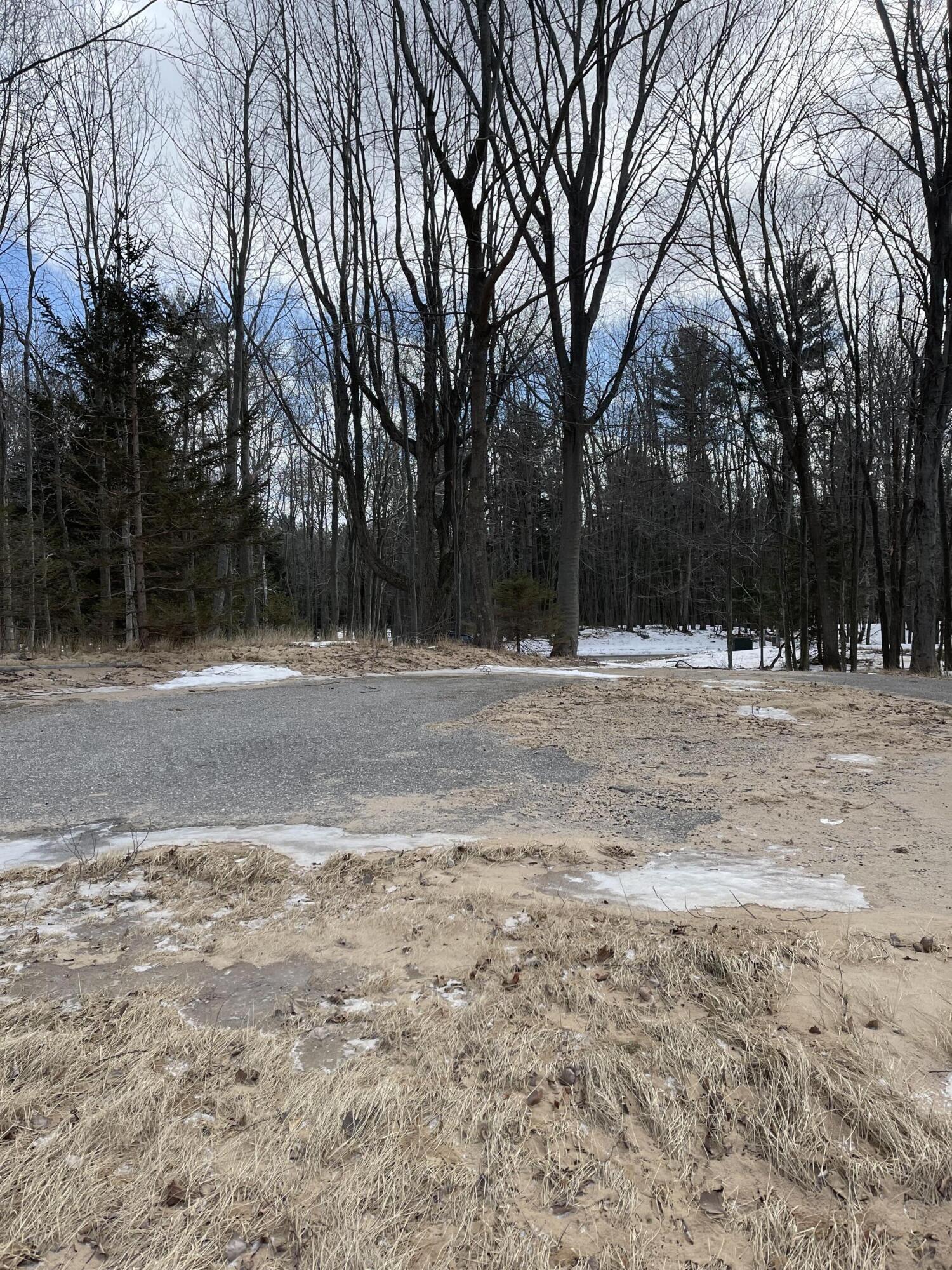 4748 Fox Farm Road Manistee, MI 49660 - Photo 11 of 11 Looking back from Edge of Bluff