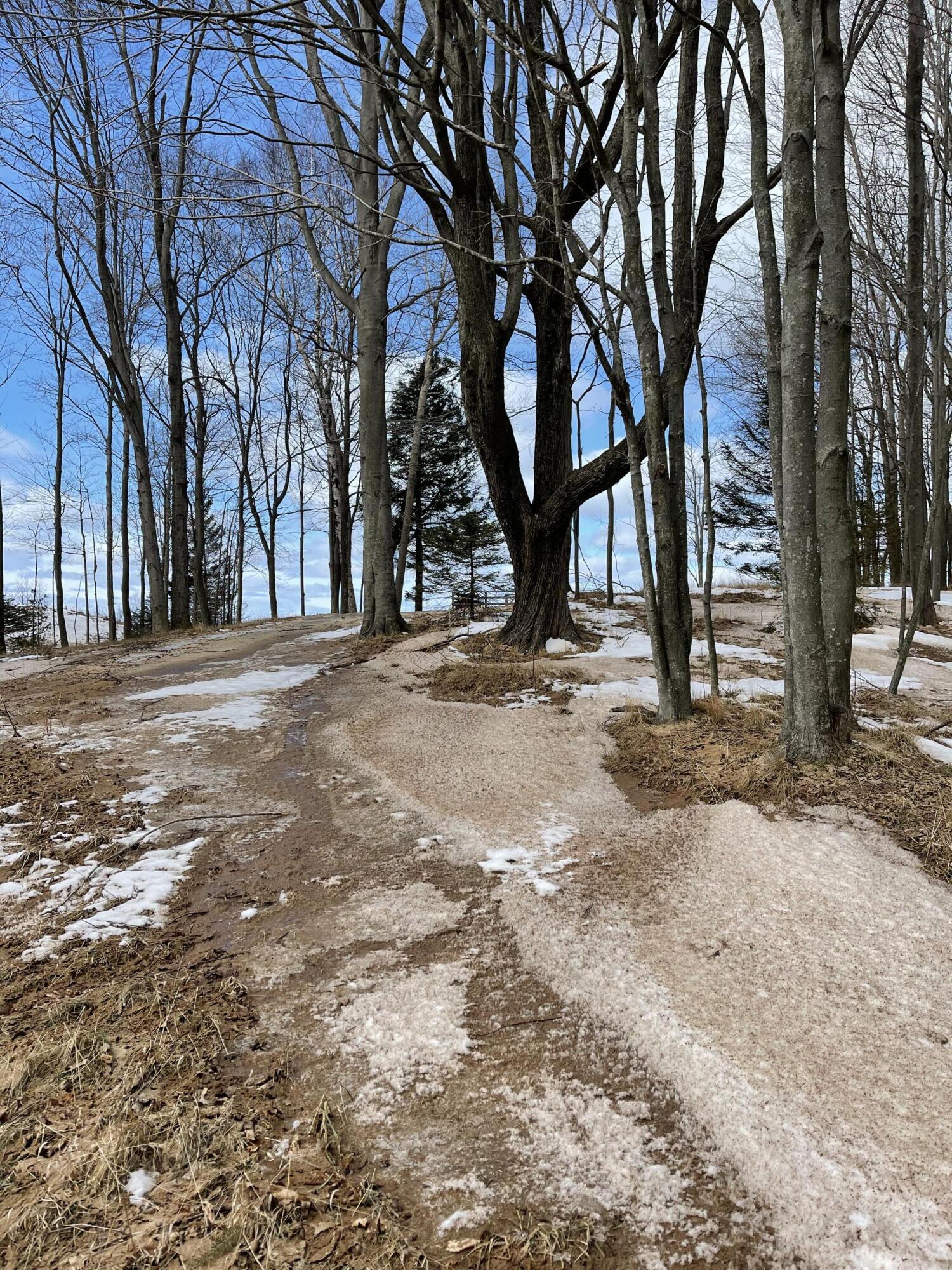 4748 Fox Farm Road Manistee, MI 49660 - Photo 8 of 11 View from Road