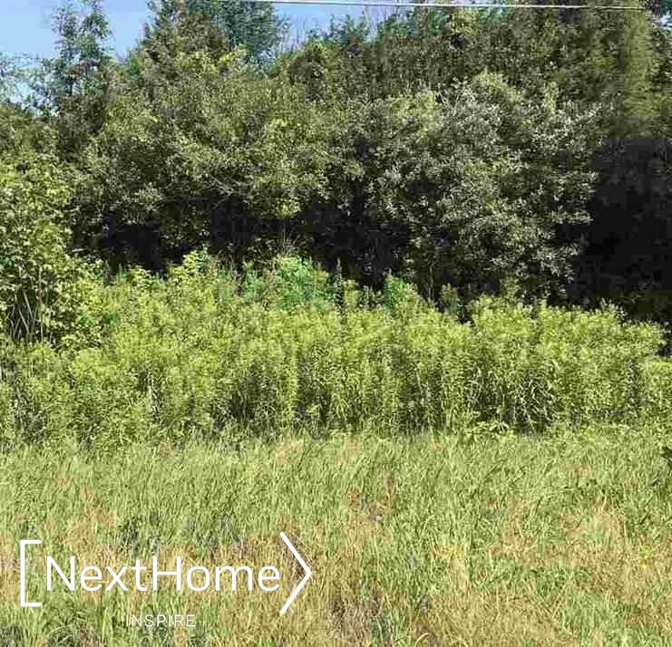 16000 Oakley Road Chesaning, MI 48616 - Photo 2 of 4 50049225-1.JPG