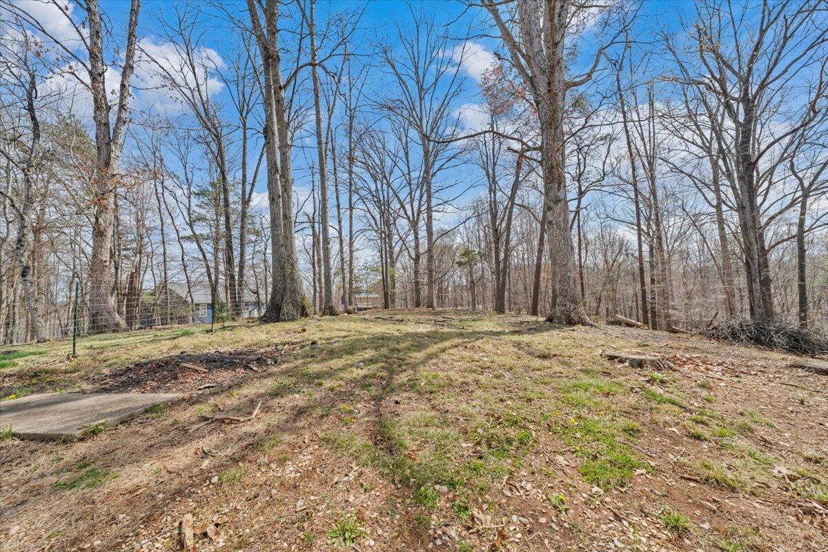80 Walnut Landing Circle Hardy, VA 24101 - Photo 40 of 53 52-MIB03066