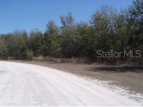 0 Southwest County Road Fort White, FL 32038 - Photo 1 of 1